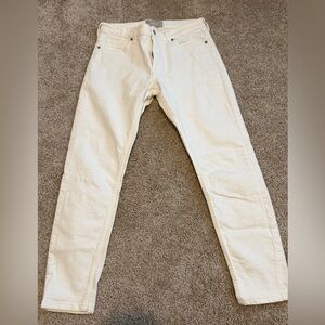 Everlane Mid-Rise Skinny Jeans Size 27 Classic Denim